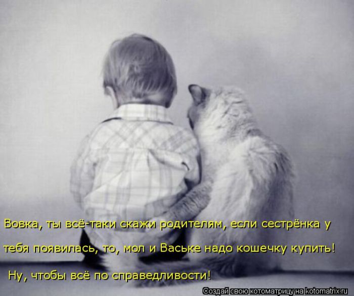 Лучшие котоматрицы недели
