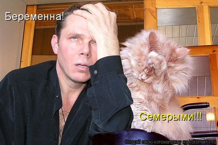Лучшие котоматрицы недели