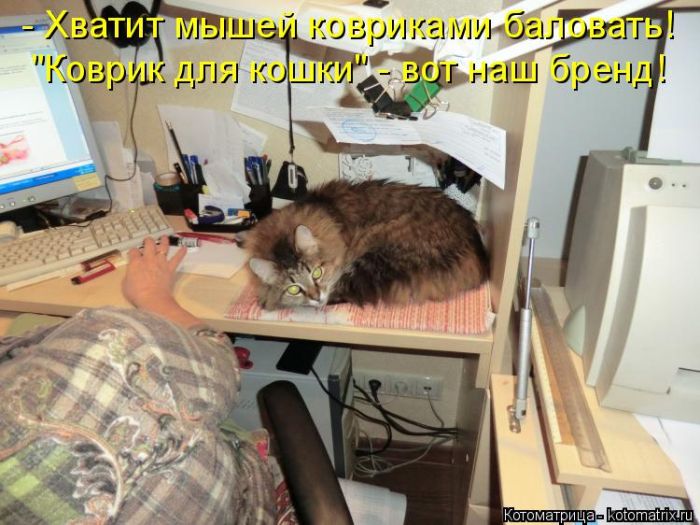 Лучшие котоматрицы недели