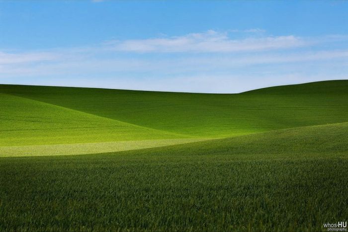 Китайский фотограф Чан Ху случайно переснял известные обои Windows XP Китайский фотограф Чан Ху случайно переснял известные обои Windows XP