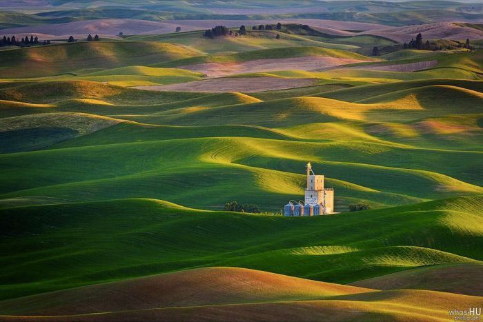 Китайский фотограф Чан Ху случайно переснял известные обои Windows XP