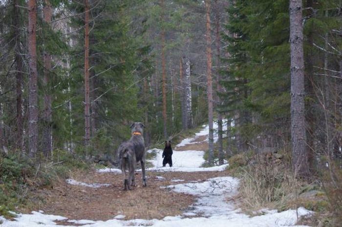 Прикольные картинки