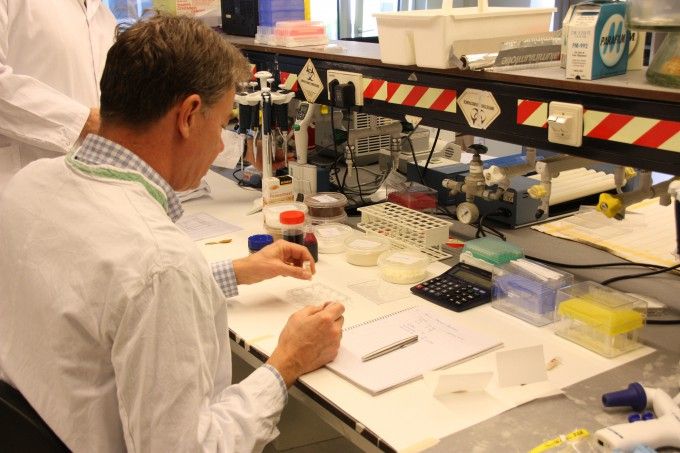 Первый в мире искусственный гамбургер