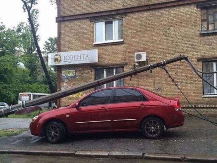 Прикольные картинки