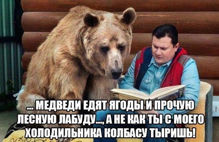 Прикольные картинки