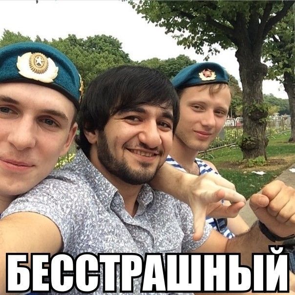 Прикольные картинки
