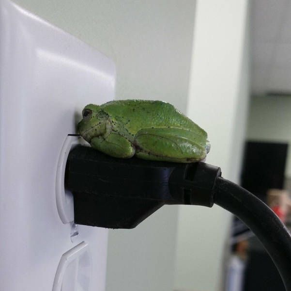 Прикольные картинки