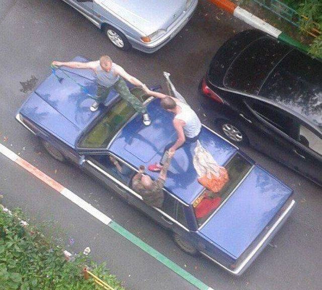Прикольные картинки