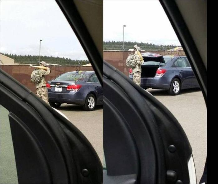 Прикольные картинки
