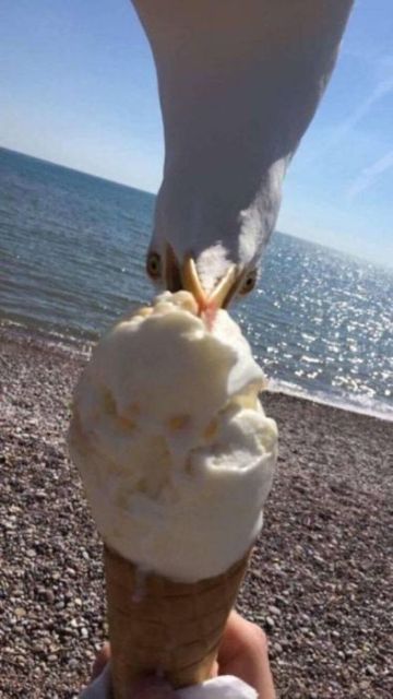 В нужный момент