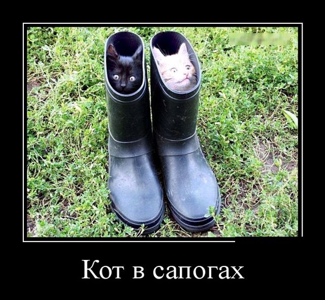 Демотиваторы