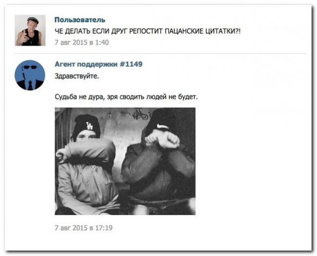 Порция картинок