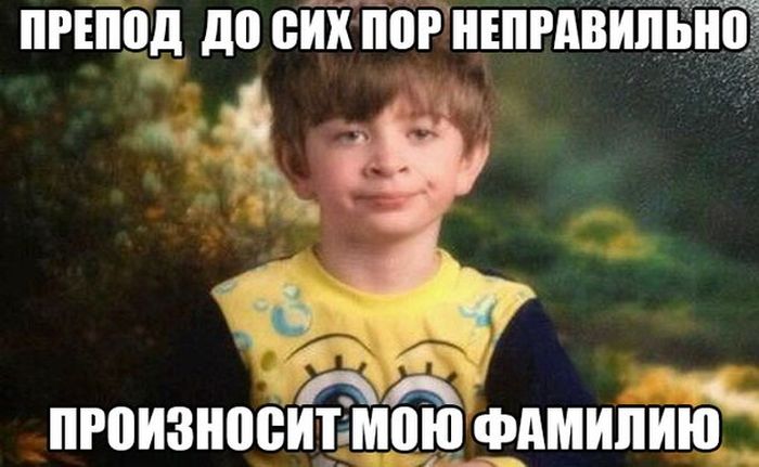 Порция картинок