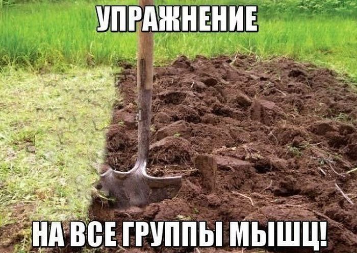 Порция картинок