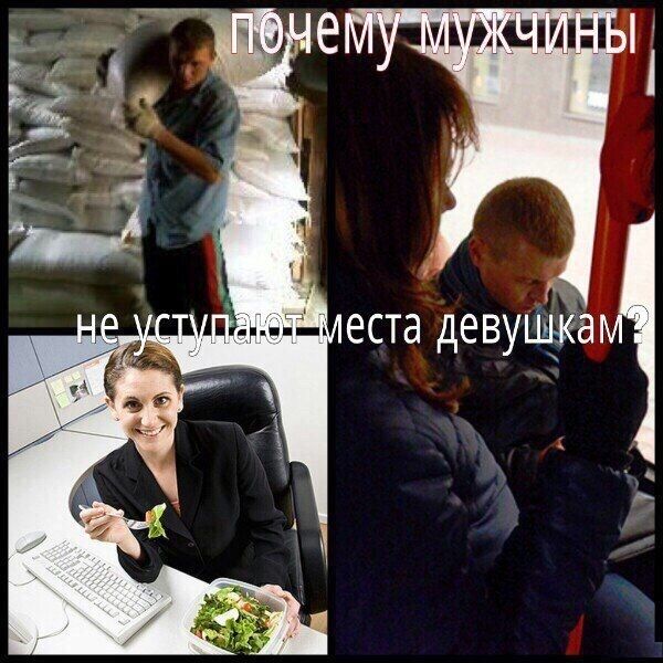 Порция картинок