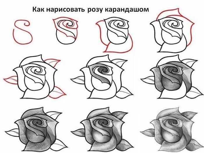 Порция картинок