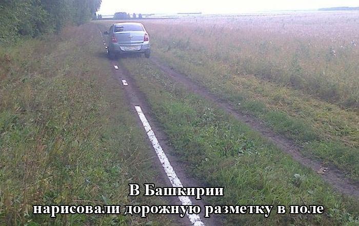 Порция картинок