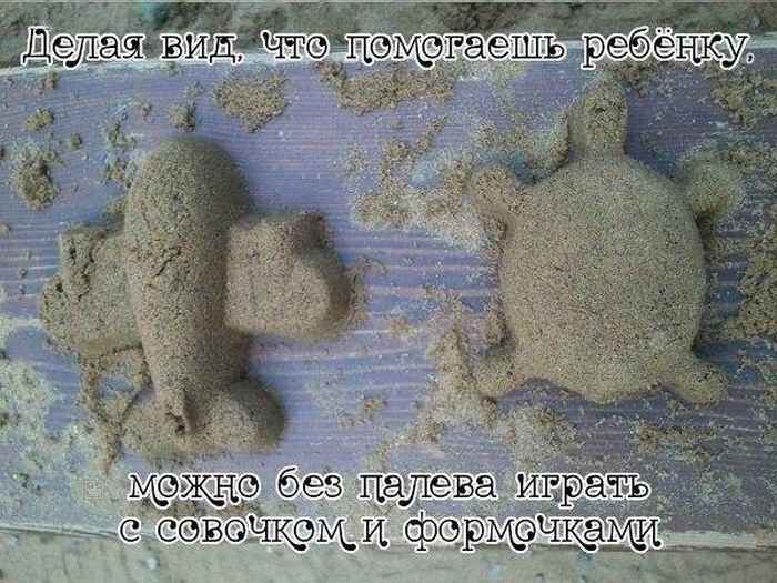 Порция картинок