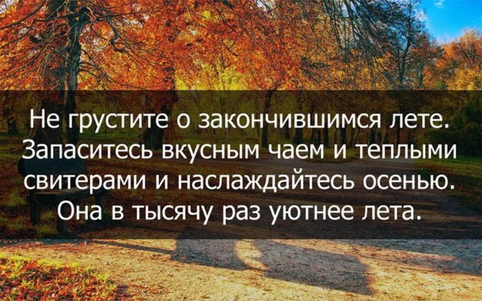 Порция картинок