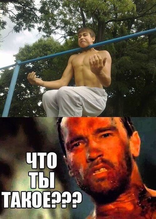 Порция картинок