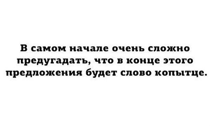 Порция картинок