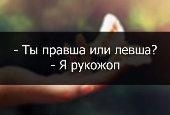 Порция картинок