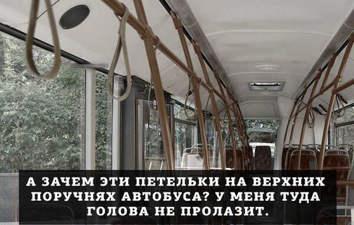 Порция картинок