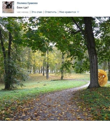 Такой невероятный блин (42 фото)