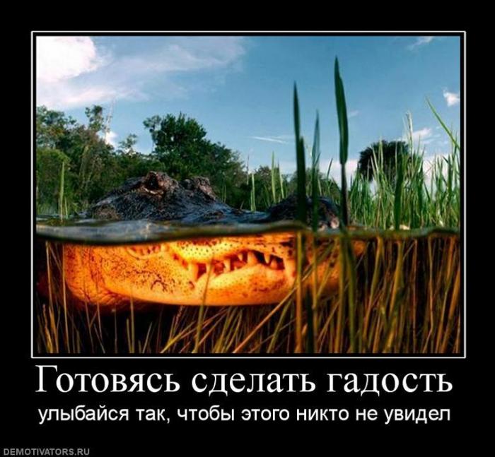 Демотиваторы (70 фото)