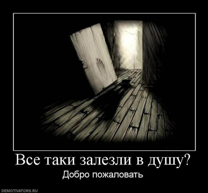 Демотиваторы (70 фото)