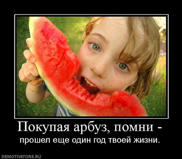Демотиваторы (70 фото)