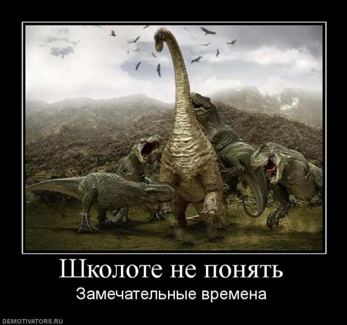 Демотиваторы (70 фото)