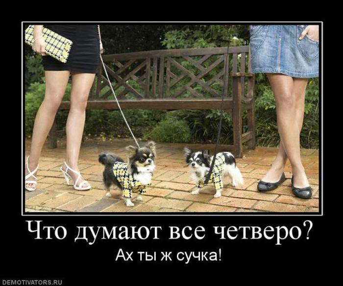Демотиваторы (70 фото)
