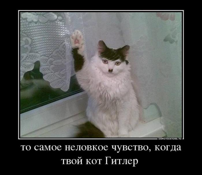 Демотиваторы (70 фото)