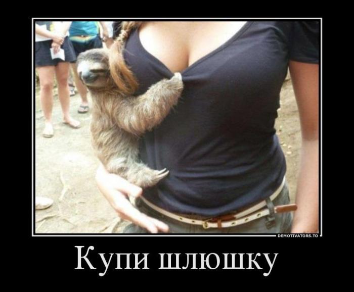 Демотиваторы (70 фото)