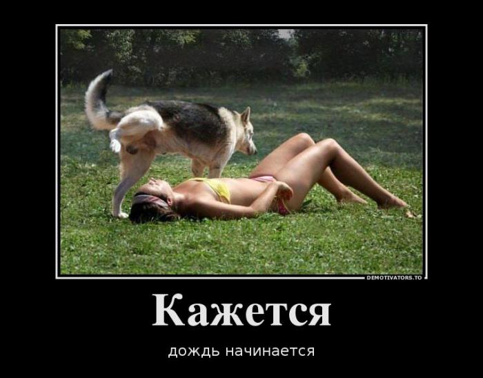 Демотиваторы (70 фото)