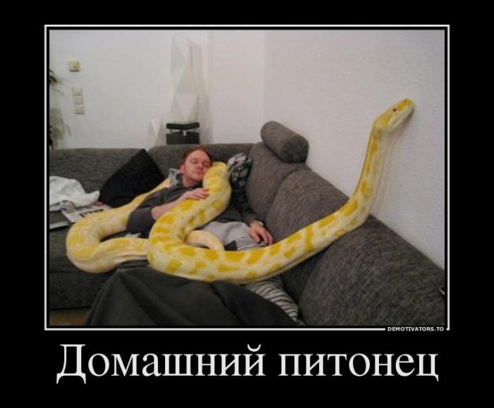 Демотиваторы (70 фото)