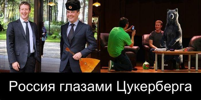 Прикольные картинки (64 фото)