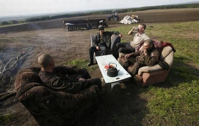 Прикольные картинки