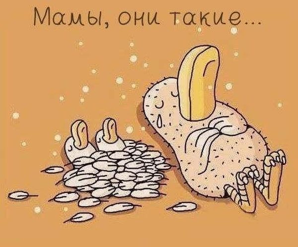 Комиксы
