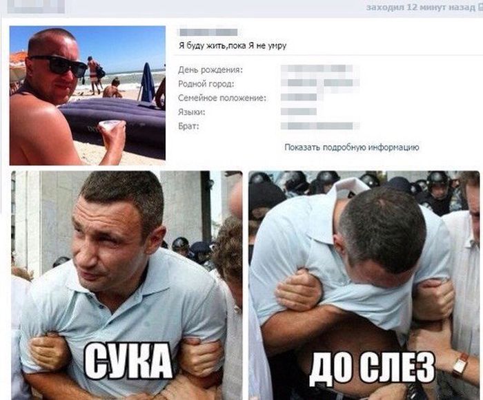Порция картинок