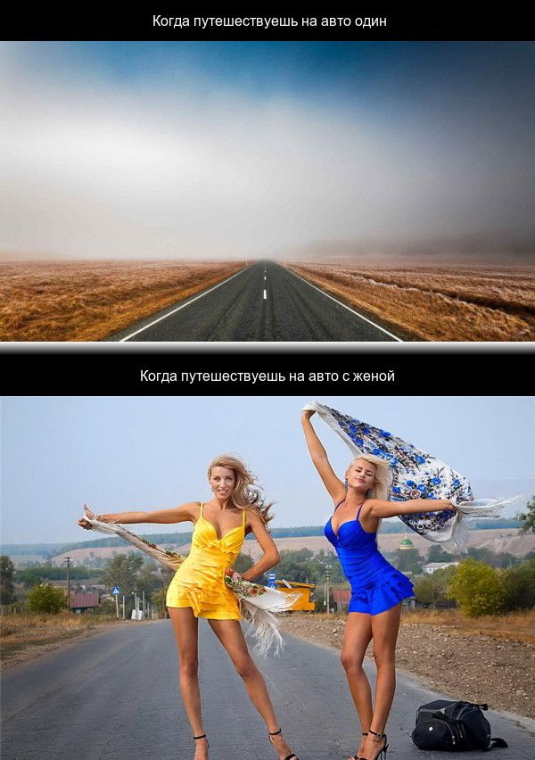 Порция картинок