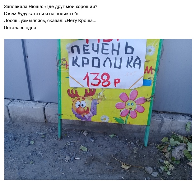 Рифмы обо всем на свете