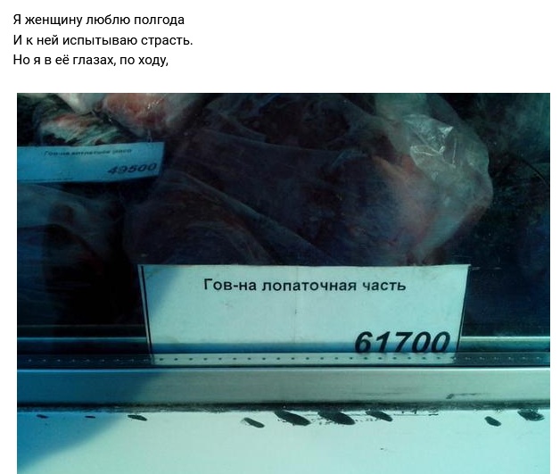 Рифмы обо всем на свете