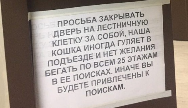 Переписка недовольных соседей