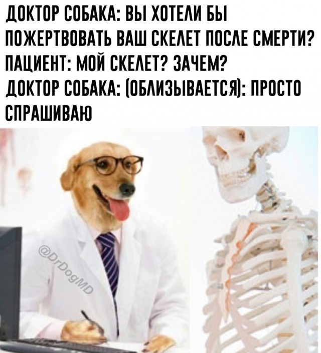 Нестандартный юмор с просторов сети