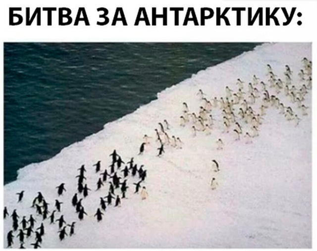 Нестандартный юмор с просторов сети