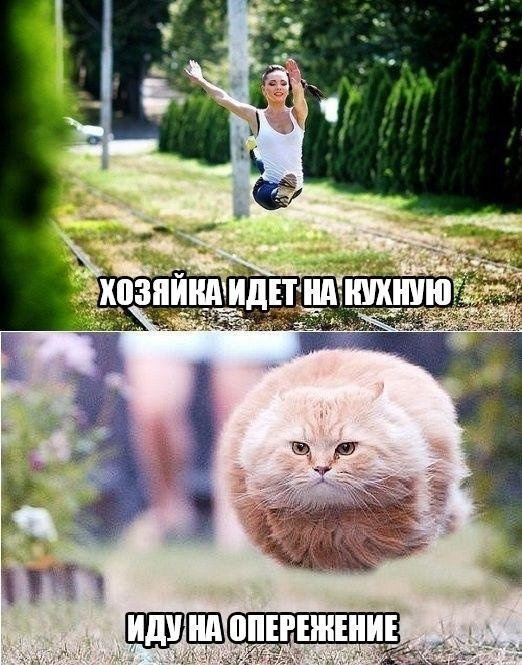Нестандартный юмор с просторов сети
