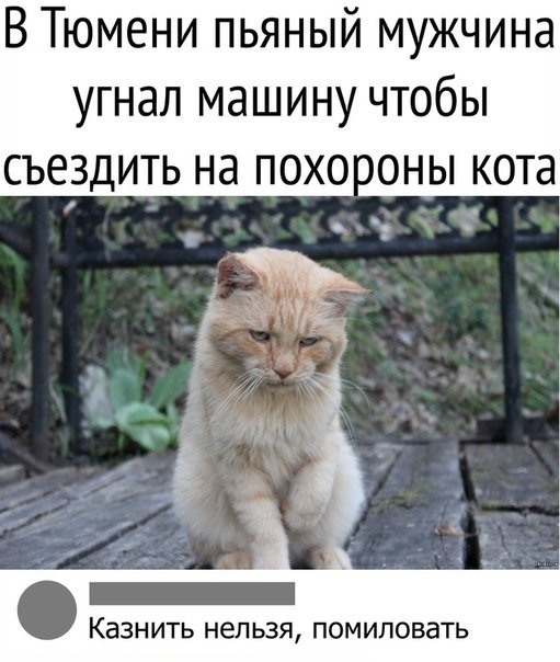 Нестандартный юмор с просторов сети