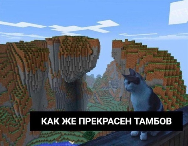 Нестандартный юмор с просторов сети